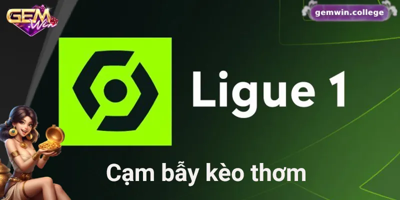 Kèo thơm có thể là bẫy khiến bạn mất sạch vốn